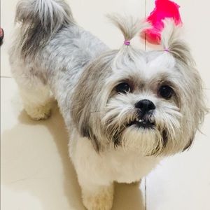 Meet your Posher, Paul